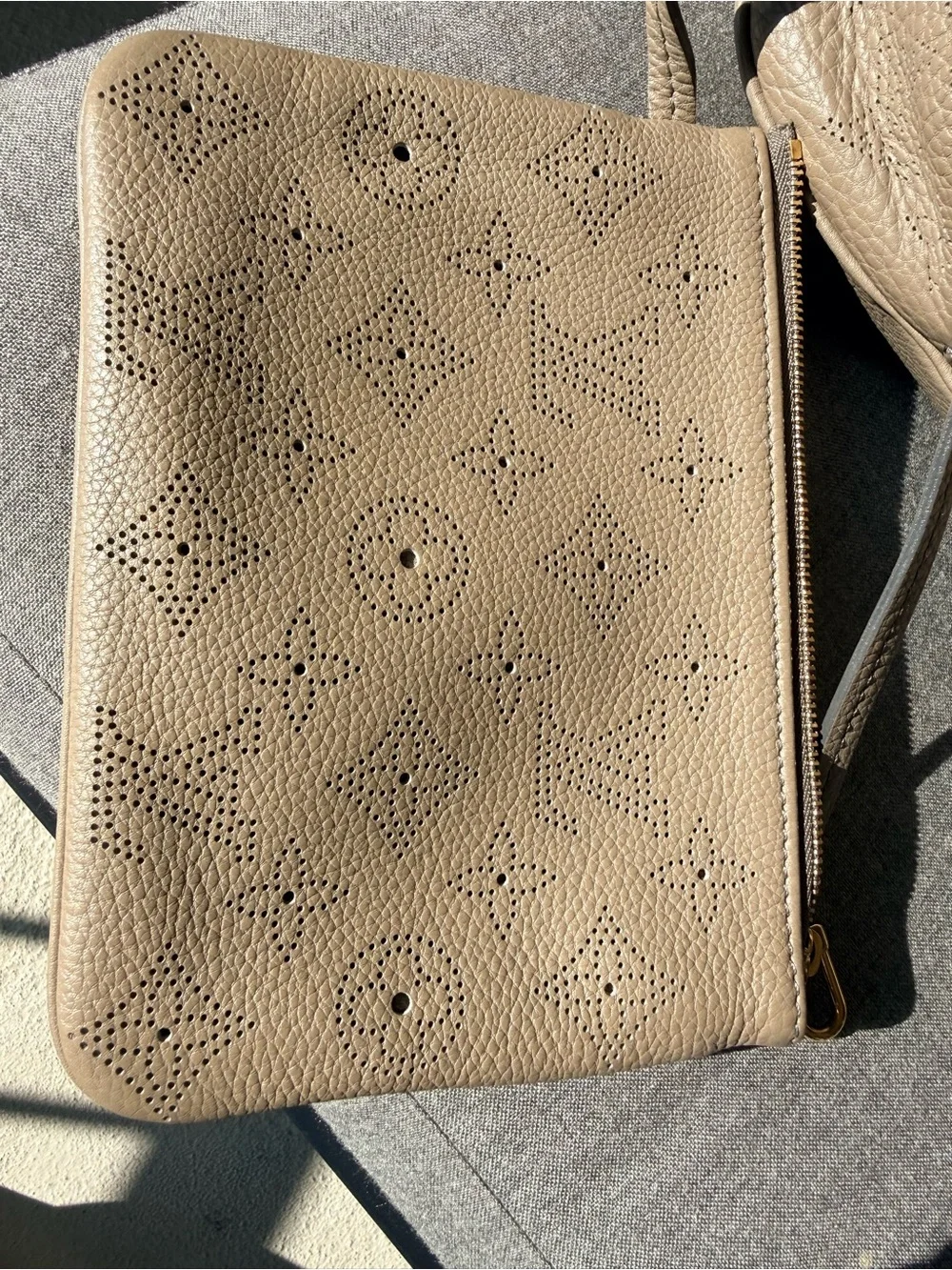 Louis Vuitton luxury bottega